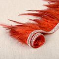 Feather