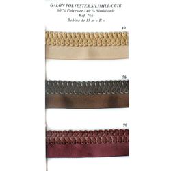 00766 Galon with Faux Leather Braid