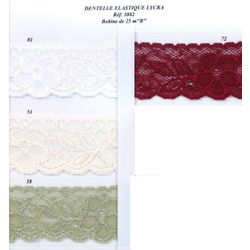03802 Elastic Raschel Lace