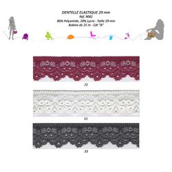 09081 Elastic Lace, 29mm