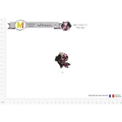 M15457 Female Profile