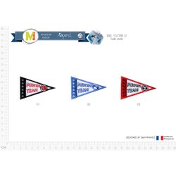 M15788 Pennant &POWER TEAM& Appliques
