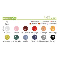 M60873 4-Hole Shell Button