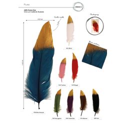 M08928 Bicolor Feathers, 10pcs/Pk