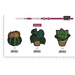 M16653 Cactus, Succulent, Potted Plants Applique