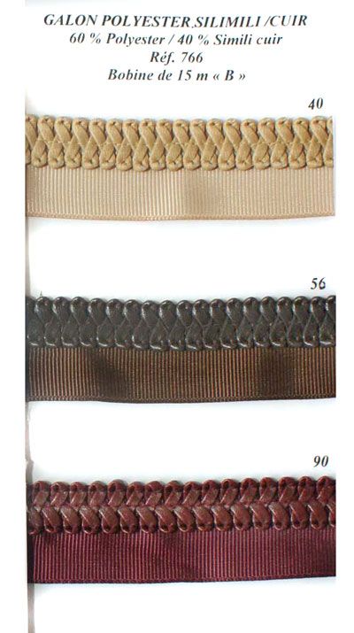 00766 Galon with Faux Leather Braid