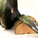 01117 Camouflage Webbing, 40mm