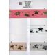 16518 Sheer Ribbon - Lurex Stars, 38mm