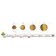 M60018 Wooden Shank Button